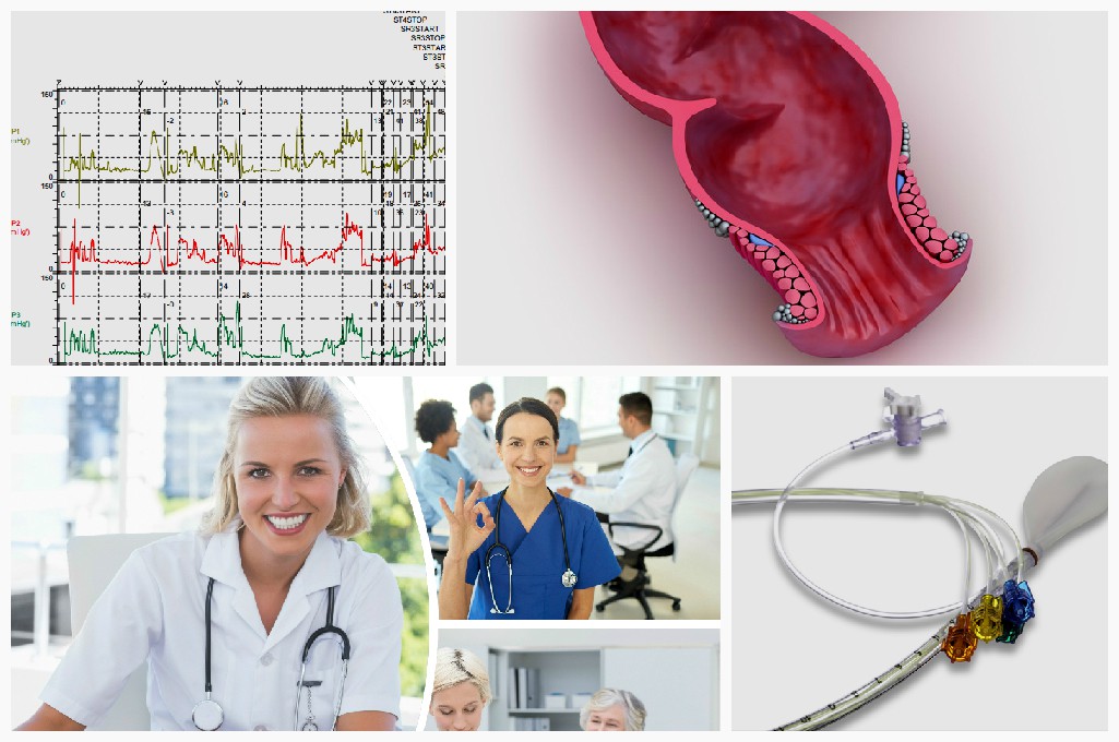 6,300+ Gastroenterology Stock Photos, Pictures & Royalty-Free Images -  iStock | Gastroenterology doctor, Gastroenterology icon, Gastroenterology  patient
